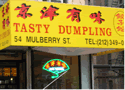 Tasty Dumpling , Chinatown, NYC